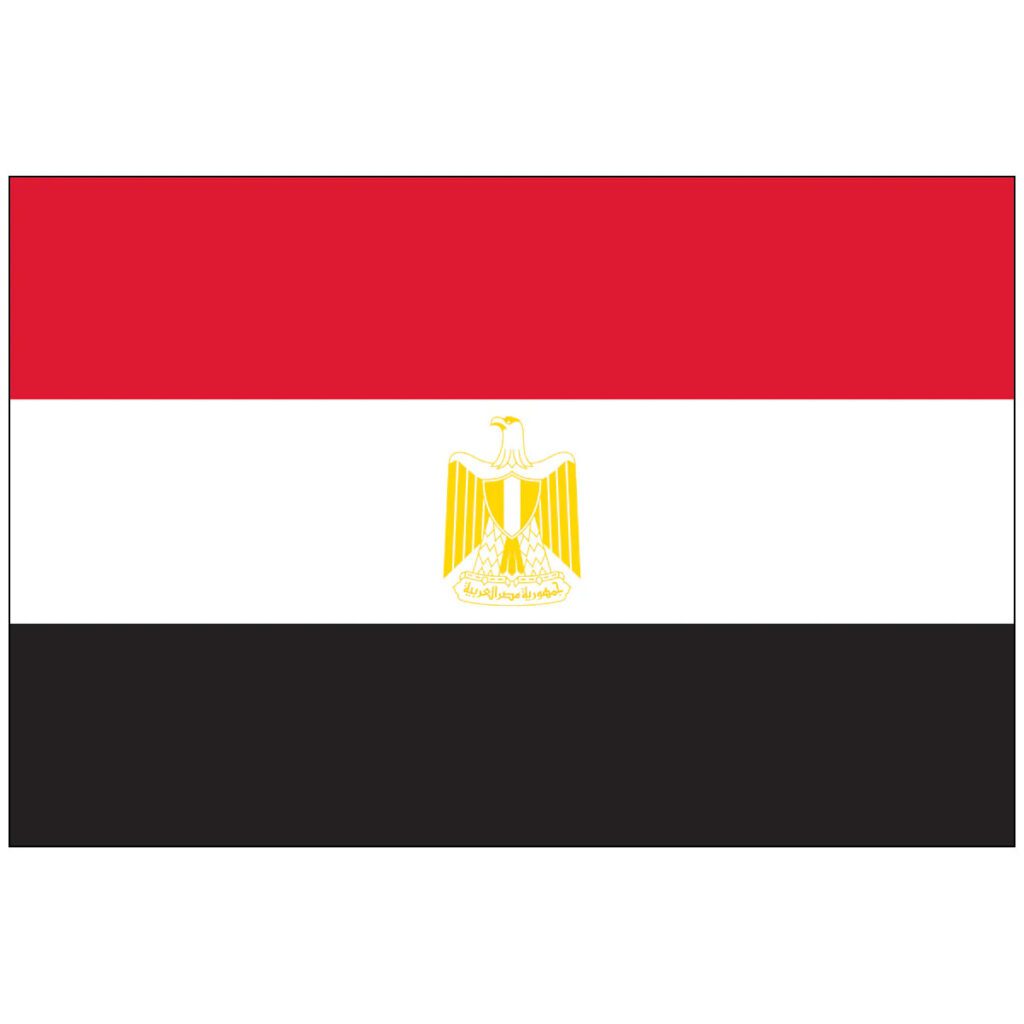 031305 2x3 egypt flag image