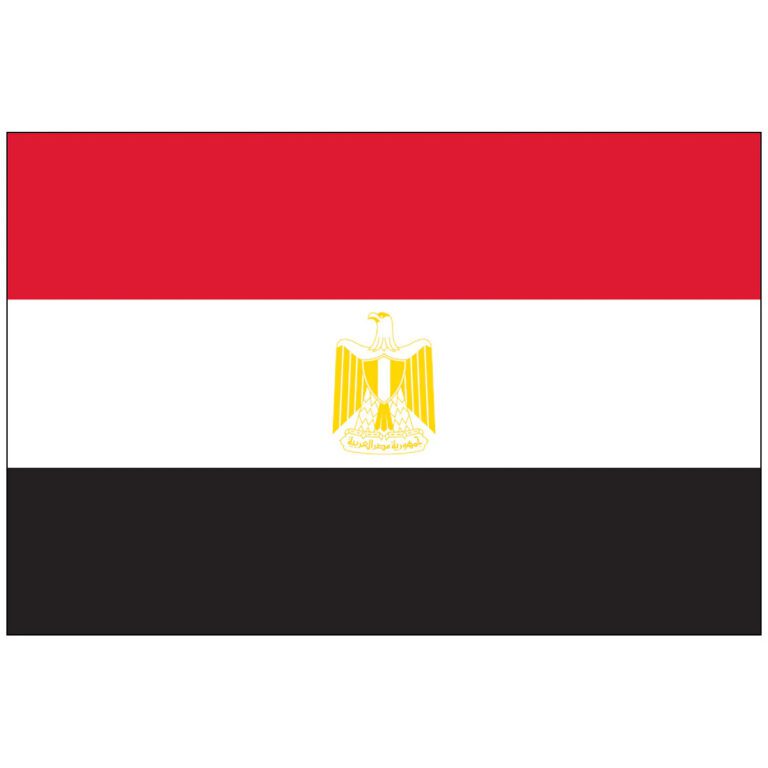 031305 2x3 egypt flag image