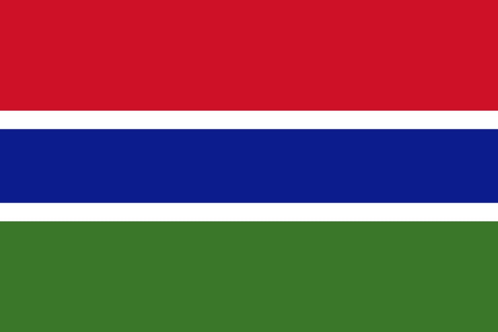 Flag of The Gambia111