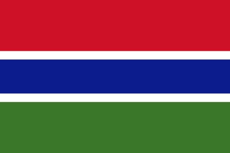 Flag of The Gambia111