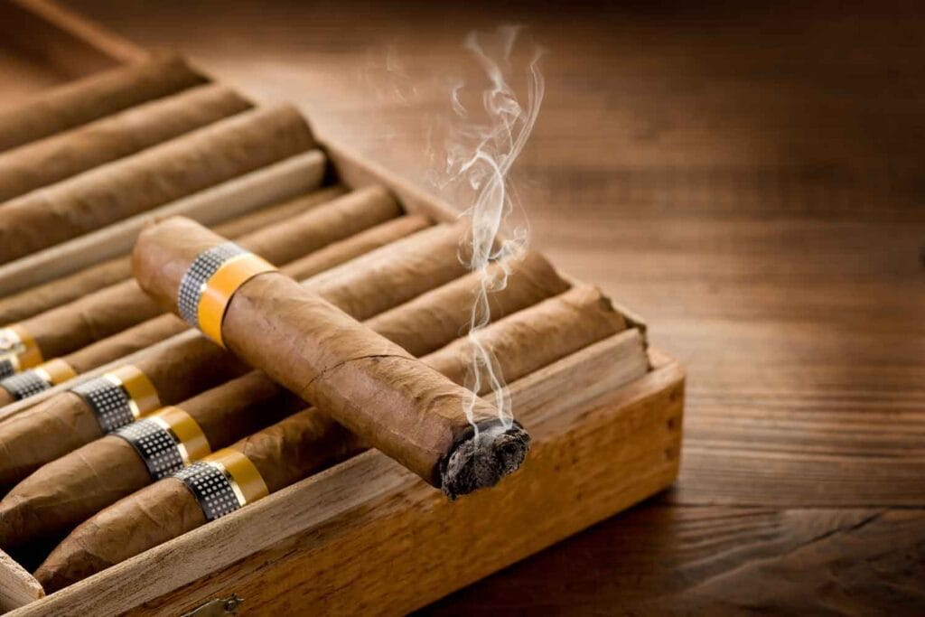 Rethinking Tobacco Taxation: Balancing Public Health, Regulation, and Harm Reduction cigar