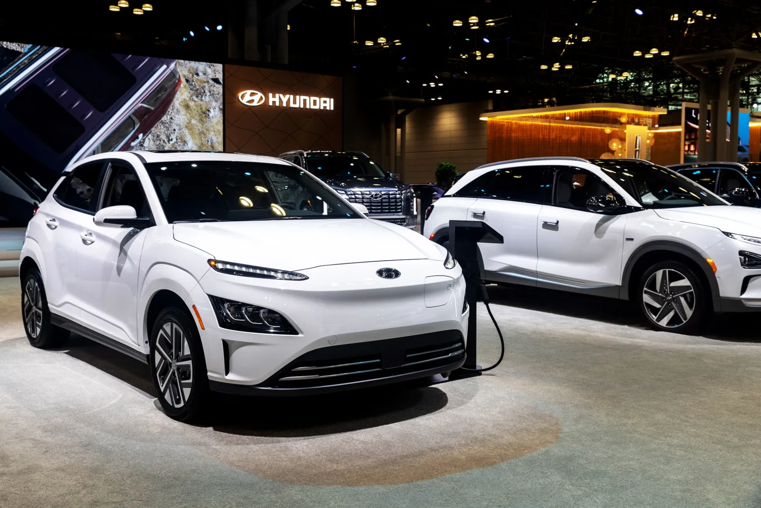 EV Sales Might Have Peaked Business 1239984825