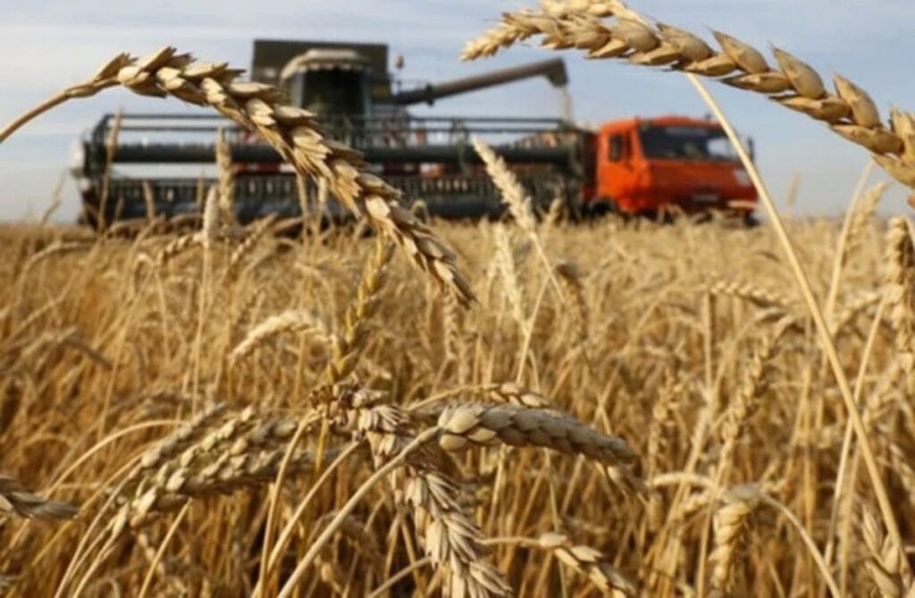 Argentina’s Wheat Harvest Could Break Records if Export Tax Cuts Are Extended, Analysts Say fa6b54fa 2bed 40af bbaa 099f60859a061