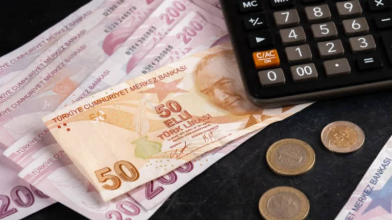 Lightening the Load: The OECD’s Fix for the Türkiye Labor Tax Burden